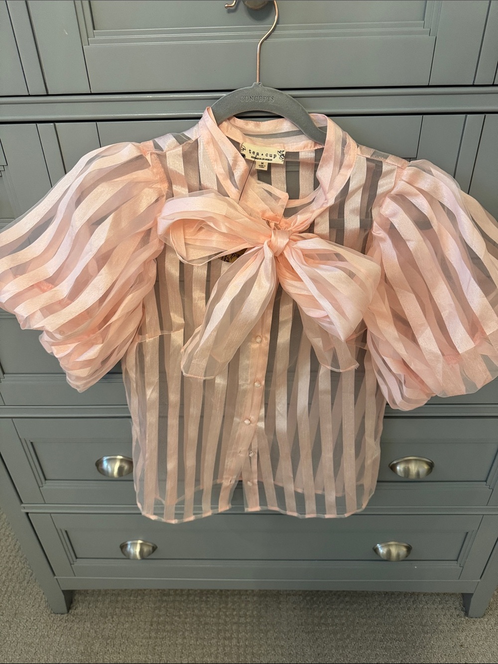 Tea n Cup Sheer Striped Bow Blouse in Blush Pink and White